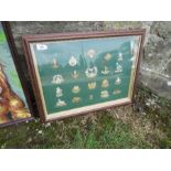 A framed collection of regimental cap badges, together with a tapestry of a dog