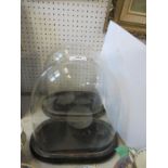 A pair of glass domes, on wooden bases - Height 12ins including base, width of base 11ins, depth