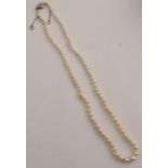 A graduated cultured pearl single strand necklace, with an old and single cut diamond set lozenge