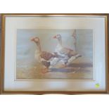 Donna Crawshaw, watercolour, two geese, 12ins x 18ins