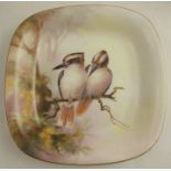 A Royal Worcester square shaped dish, decorated with Kookaburras in Australian foliage by W