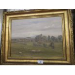 An oil on canvas, landscape with sheep, 11.5ins x 15.5ins