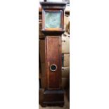 An antique Mulberry wood cased long case clock, the square dial inscribed William Haiter London,