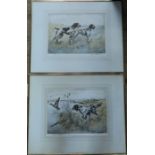 Henry Wilkinson, two limited edition colour engravings, studies of sporting dogs, 10.5ins x 14ins,