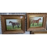 George Paice attributed, two oil on canvas, Bushido and Buftphalus, studies of two bay horses tacked