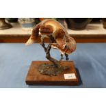 An Albany Fine China bronze and porcelain model, of a fox, modelled by Neil Campbell