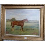 B Hayland, oil on canvas, chestnut horse in landscape, 19.5ins x 25.5ins