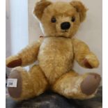 A gold plush teddy bear