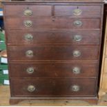 An Antique oak chest, of two short over five long graduated drawers, 42.5ins x 20.5ins, height 49.
