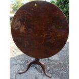 A 19th century circular tilt top table, with burr wood top, raised on a turned column and three