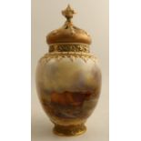 A Royal Worcester covered pot pourri, decorated to the front with Highland cattle in landscape by