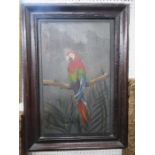 Julia Lunn, pair of oils on panel, parrots on branches with leaves