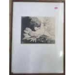 Marion Ellis, lithograph, Pigeons, 21.5ins x 15.25ins