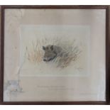 Snaffles, Charles Johnson Payne, colour print, Mr Dooker, signed in pencil, 16ins x 17.5ins