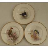 Three Royal Worcester small plates, decorated with a Blue Tit, a Swallow and a Green Woodpecker by W