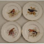 Four Royal Worcester small plates, decorated with a Nightingale, a Hawfluck, a Robin and a