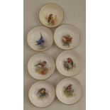 Seven Royal Worcester small dishes, decorated with a English birds, five by Powell, one by Barker