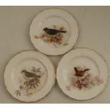 Three Royal Worcester small plates, decorated with a Wren, a Gold Crested Wren and a Blackbird by