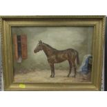 A C Shutterworth, oil on board, bay horse in a stable, 9.5ins x 13ins