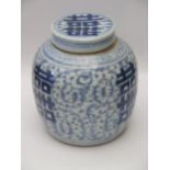 A Chinese Blue and White Ginger Jar, 19cm