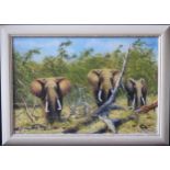 I.J.G. Price, three elephants (after David Shepherd), oil on canvas, 75x50cm, framed