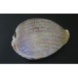 A 19th Century Sea Shell Carved with The Lord's Prayer, 9.5cm