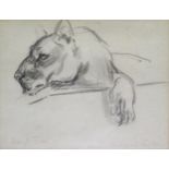 Beryl Newman(Trist) (1906 1991), Westcountry Artist, 'Doris, Zoological Gardens', Signed Pencil