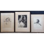 Leonard Robert Brightwell (1889-1962), Three Pencil Signed Etchings: The Family Tree (framed &