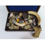 A Victorian Box of Curiosities including hippopotamus teeth, crystals, stone age arrowhead, ground