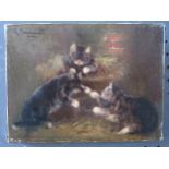 K. Lawson?, Three Kittens, oil on canvas, framed & glazed, 36 x 31cm