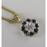 A 9ct Gold, Sapphire and Diamonmd Pendant (13mm drop, .6g) on a 19.5" 14ct gold chain (2.4g)