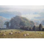 Paul James b.1961, British Landscape and Wildlife Artist, Signed Print, Limited Edition 496/850,