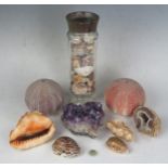 Amethyst Sample, shells including sea urchins, etc.