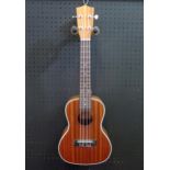 Excelsior GKC-30 Concert Ukulele - mahogany - ex-shop stock in shipping box