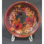 Moorcroft 8.5" Orchid Plate