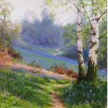 David Smith b 1949, British Landscape Painter, 'A Carpet of Bluebells', Oil on Board, Signed, 29 x