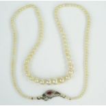19.5" Graduated Pearl Necklace with a marquise cut ruby and old cut diamond clasp, largest pearl