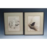 A pair of Japanese prints of a raven and three doves, label to reverse Henry Graves and Company,