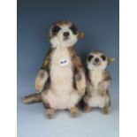 Steiff Meerkat Pair - (1) Mungo 071249 (30cm), (2) Cockie 045257 (20cm)