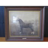 Large Framed Black and White Print of the Horse 'Royal Danegelt', Signed G H Parsons 1915, 58 x 50cm