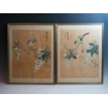 A pair of mid 20th Century Chinese painting on silk, of birds, Hong Kong, 37.5x30cm.