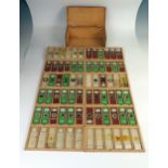 Microscope Interest: A pine box of microscope slides (approximately 71 slide) including section of