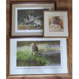 Two David Shepherd Limited Edition Prints _ The Bandipur Tiger (70x40cm, not incl. frame), Clouded