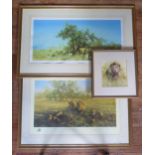 Two David Shepherd Limited Edition Prints _ First Light at Savuti (75.5x43cm, excl. frame),