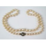 19" Single Strand Pearl Necklace, the graduated pearls with 10mm old cut diamond cluster clasp,