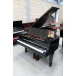 Steinway (c1912) A 5ft 10in Model O grand piano in a bright ebonised case on square tapered legs.