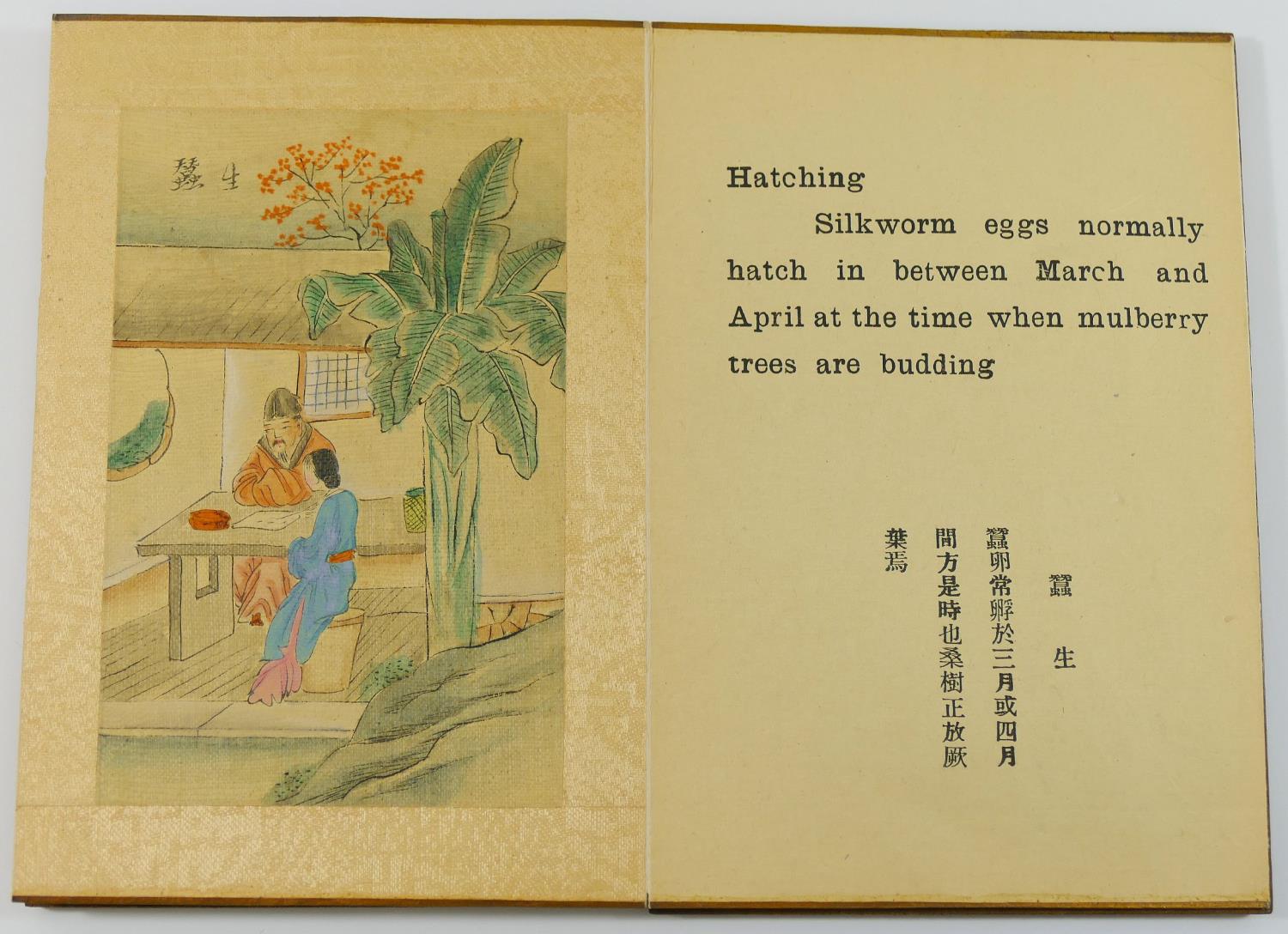 'Picture Story of Silkworm and Raw Silk', a Chinese accordion book, with wooden boards,