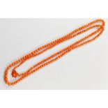 A long Victorian string of coral beads, with gold coral set clasp, 109cm long,