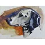 John Rignall (1916-2004), head study of a dalmatian 'Penny', watercolour,