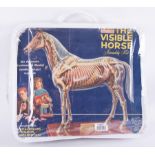 The visible horse assembly kit, an accurate anatomical model.